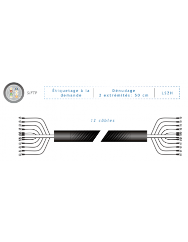 Frette 12 RJ45 CAT 6A S-FTP Noir 2m - FP2N12C6A - dfiplus