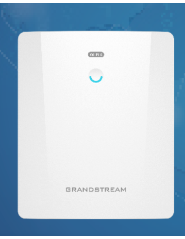 Grandstream GWN7664ELR Wi-Fi 6 AX6000 Access Point Outdoor