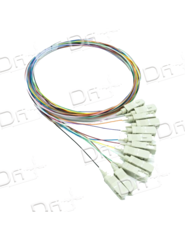 Pigtail Kit 12 OM1 Multimode SC 1m - PK12OM1SC1 - dfiplus