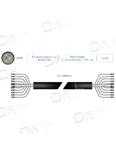 Frette 12 RJ45 CAT 6A S-FTP Noir 2m - FP2N12C6A - dfiplus