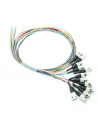 Pigtail Kit 12 OM1 Multimode ST 1m - PK12OM1ST1 - dfiplus